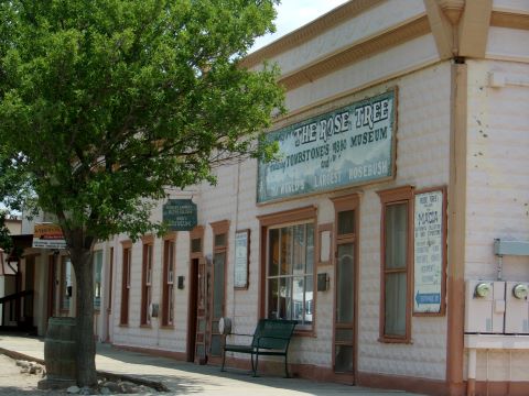 Rose Museum - 7-11-23 Rose Museum - 7-11-23